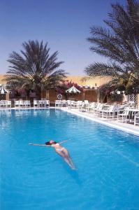 Sun Palm - 5