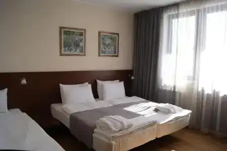 Monte - 13
