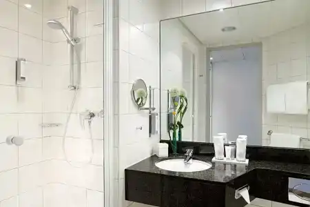 Essential by Dorint Basel City - 70