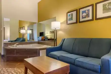 Comfort Suites - 9
