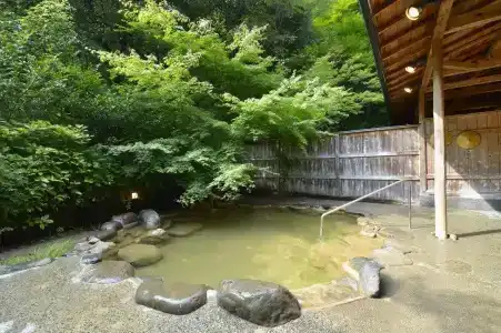 Yumoto Ueyama Ryokan - 45