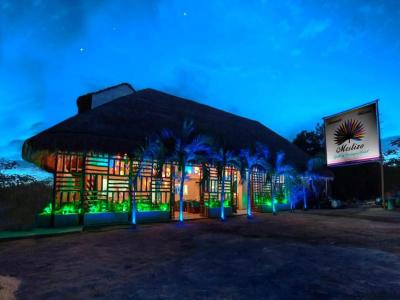 Mestizo Gallery - 22