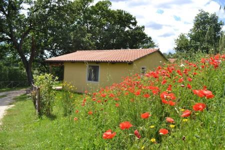Relais Ciavatta Country - 79