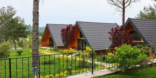 Pinhan - 29