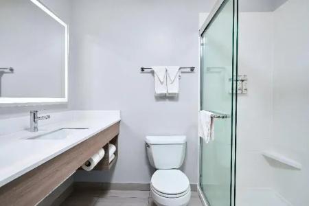 Holiday Inn Express & Suites - Houston Westchase - Westheimer, an IHG - 85