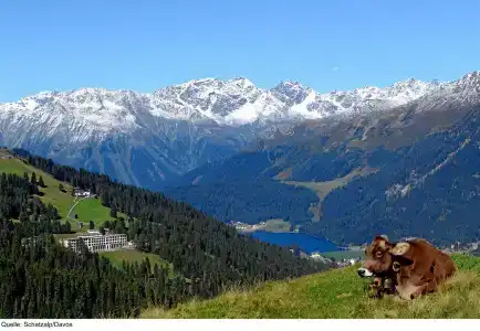 Schatzalp - 7