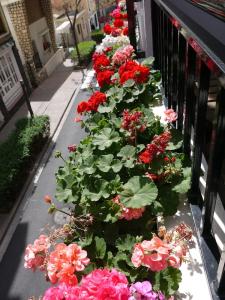 Maravillas del Mundo - 42