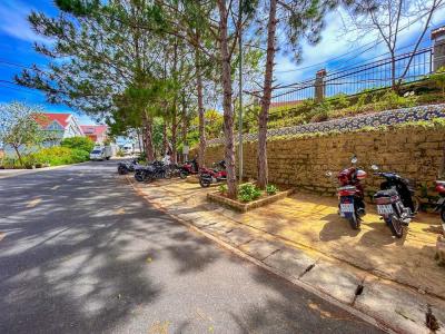 Hong Mon Villa - 81