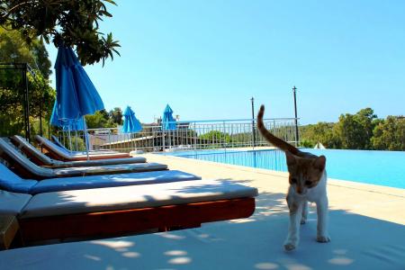 Patara Sun Club - 12