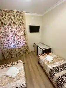 Кипарис - 29