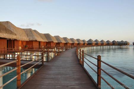 Sun Siyam Vilu Reef - 26