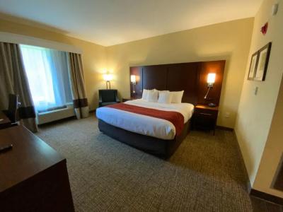 Comfort Suites North - 39