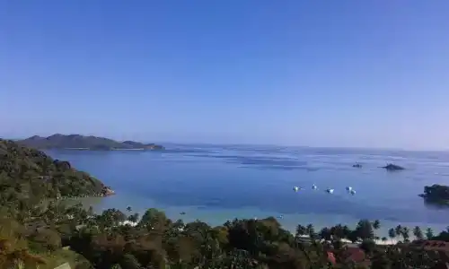 Mango Lodge - 28