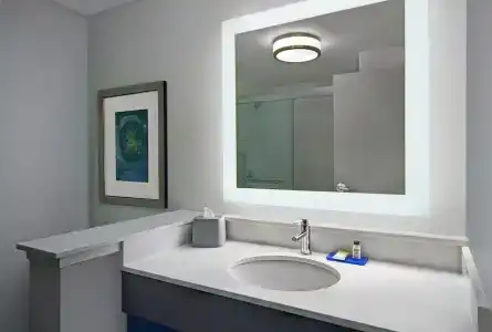 Holiday Inn Express - Houston - Galleria Area, An Ihg - 61
