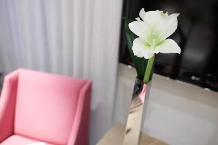 Maison Pic - 22