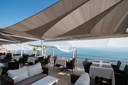 Alia Beach - 26