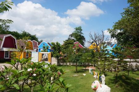 Color Ville Sha Certified - 12