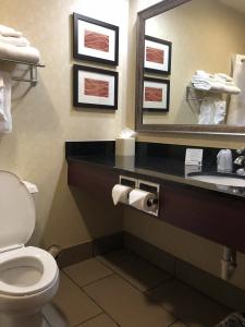 Comfort Inn Civic Center - 8