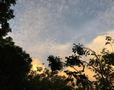 Open Sky - 45