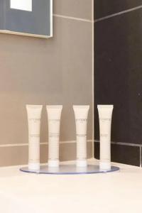 Hilton Garden Inn Tours Centre, France - 103