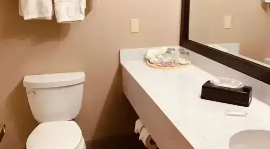SureStay Plus by Best Western - 46