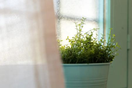 Il Raggio di Sole - 52