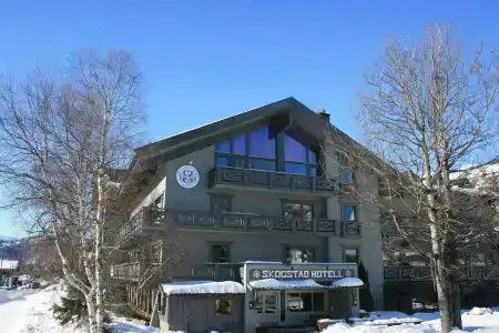 Skogstad - 16