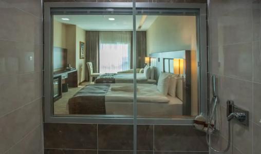 Mitannia Regency - 23