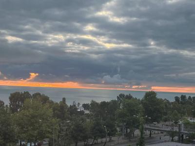 Temel Park - 9