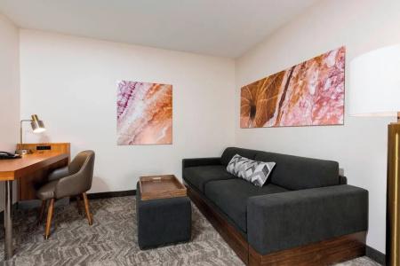 SpringHill Suites North - 36