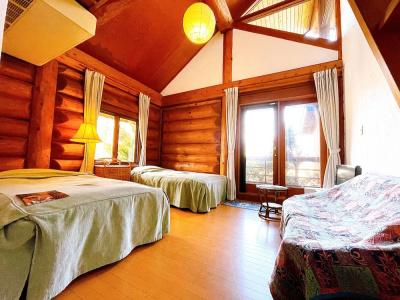 Hakuba Meteor Lodge - 146