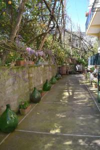 Sorrento Experience - 46