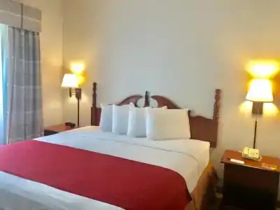 Country Inn & Suites by Radisson Near Universal - 44