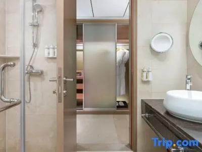 Holiday Inn Nanjing Aqua City, An Ihg - 71