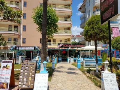 Palmen Apart - 15