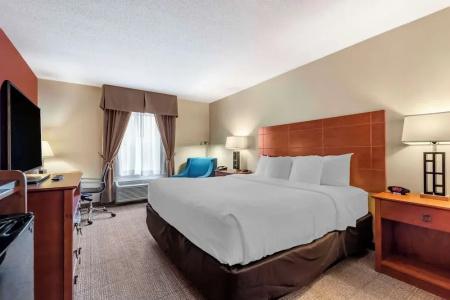 Comfort Inn Civic Center - 60