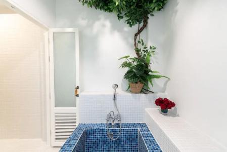 Rosario Oasis Sha Plus - 51