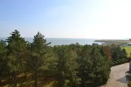 Тополь - 11