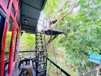 Khao sok tree house resort - 37