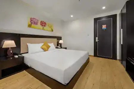 Golden Star - 48