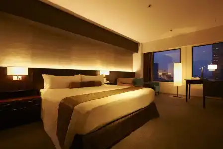 Keio Plaza Tokyo - 11