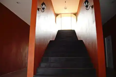World Cat Resort - 7