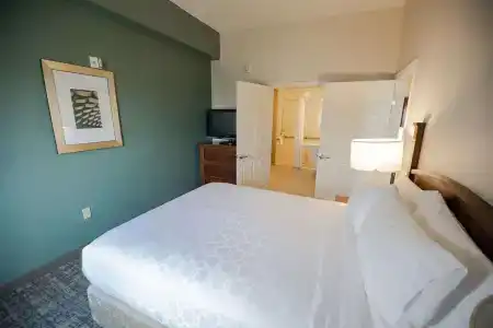 Sonesta Es Suites Baton Rouge - 17