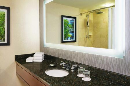 The Westin Michigan Avenue Chicago - 39
