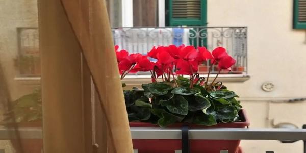 b&b Donna Eleonora - 32