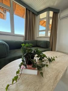 Babaoglu Apart - 39