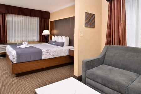 Best Western Hollywood Plaza Inn - Hollywood Walk Of Fame - La - 38