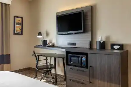 Comfort Inn & Suites North Dallas-Addison - 45