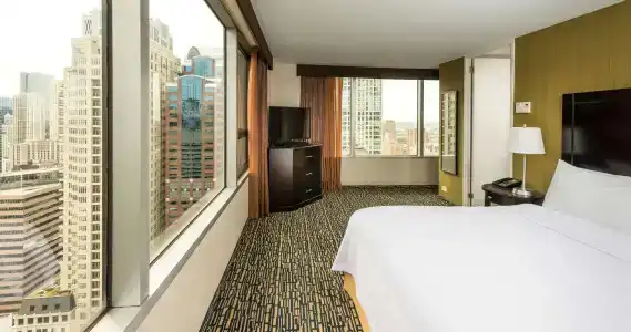 Homewood Suites Chicago Downtown - Magnificent Mile - 54