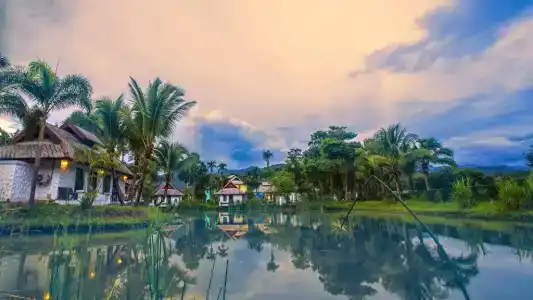 Bura Lumpai - 73
